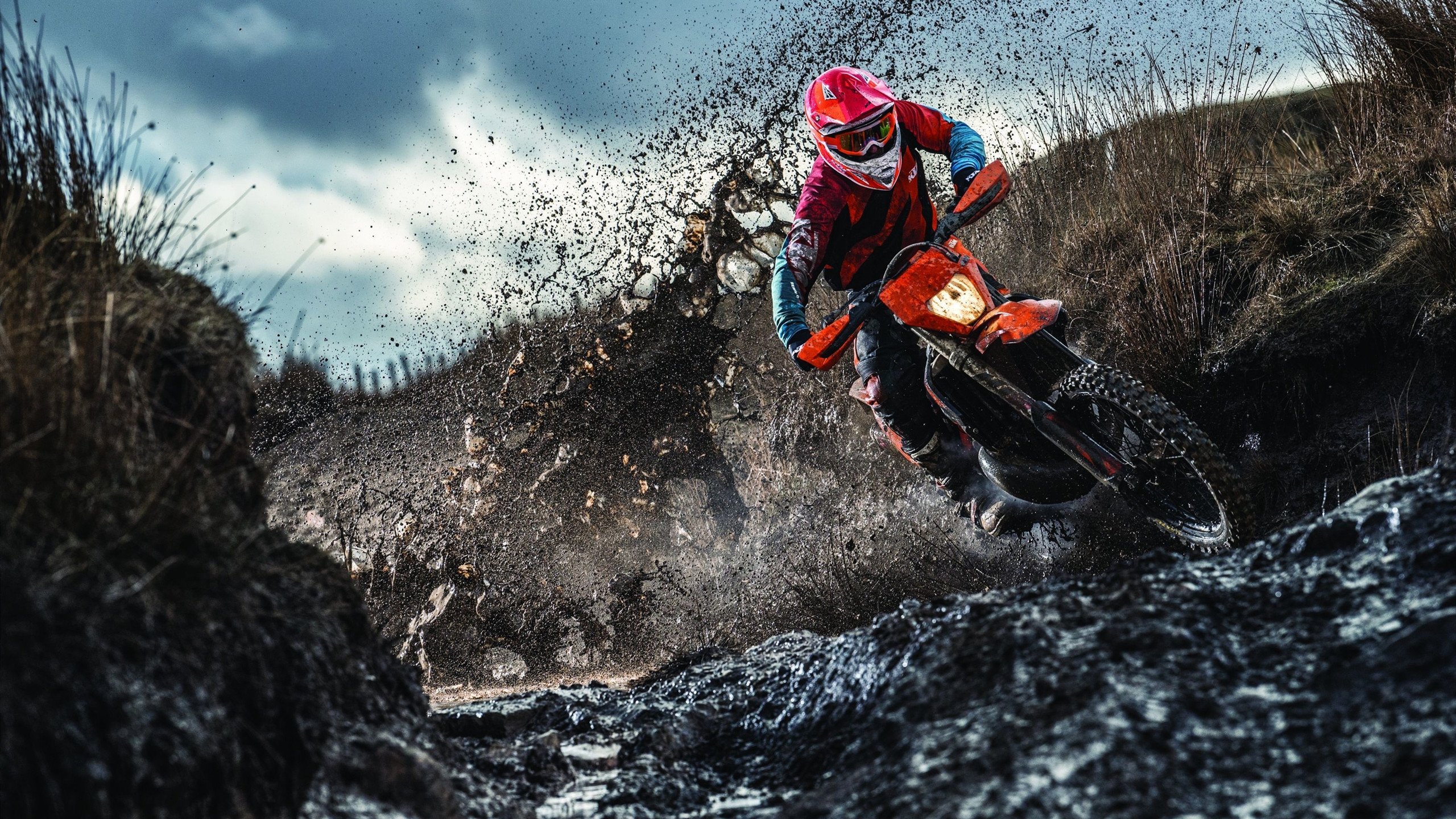 张雨霏回应质疑用成绩说话最直接,张雨霏霸气回应